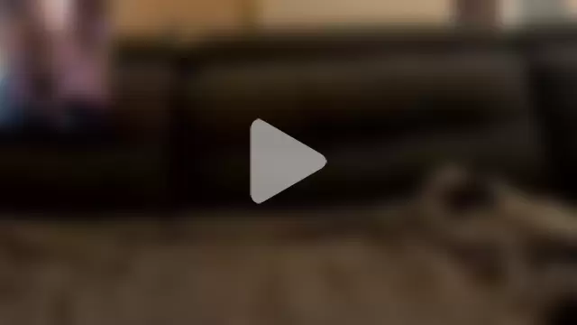 ApollonFit_x69 photo 25