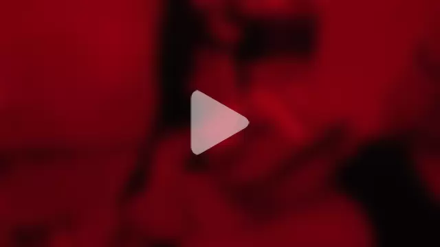 Apolo-N-Daphne photo 5