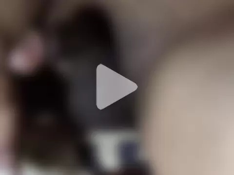 Arabcuckold4u photo 17