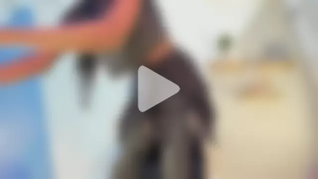 Aria_fitness photo 11