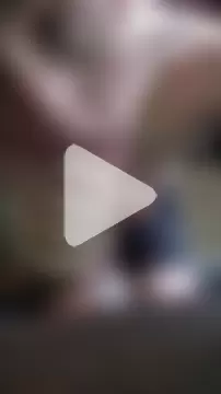 Artemio-1 photo 5