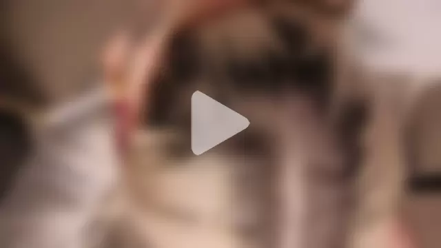 Ashley-Urban photo 3