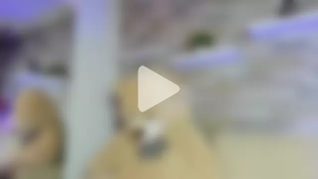 AshleyHill2 photo 13