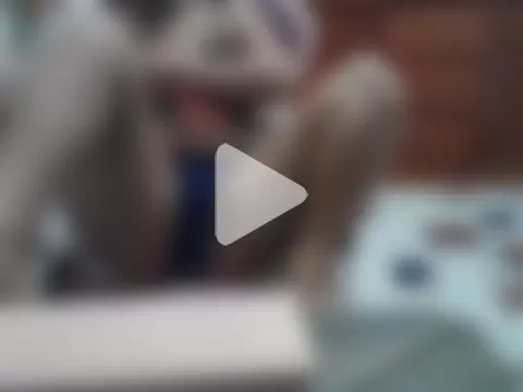 AsianPussyWet69x photo 10