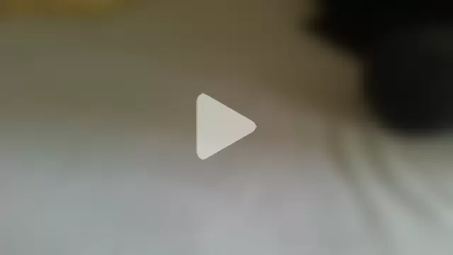 AssMatic_ photo 19