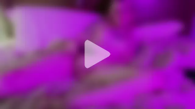 AthenaAphrodisia photo 18