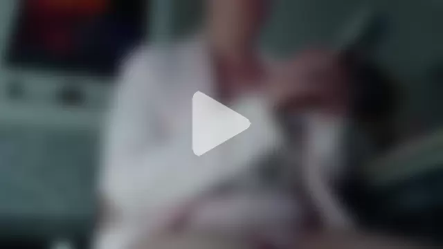 AuroraWillows photo 17