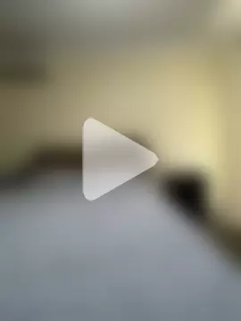 AussieKittyPurr photo 24