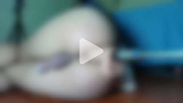 Azul__poppi_ photo 2