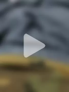 BBC-7 photo 19