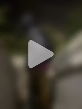 BBC_LONGPIPE22 photo 22