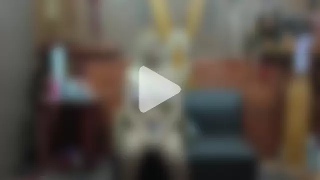 BDSM_NolimitsSexHard photo 2