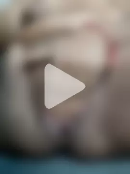 Banee_bunnyLIVE photo 10