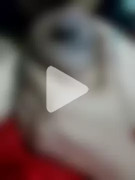 Banee_bunnyLIVE photo 9