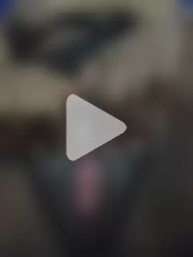 Banee_bunnyLIVE photo 4
