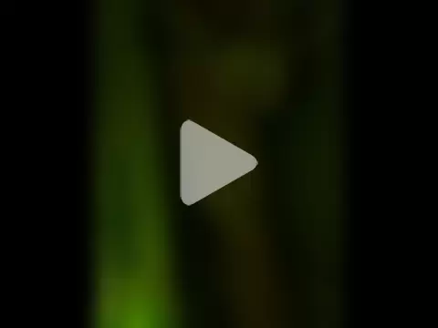 BbwLuvrBoi69 photo 5