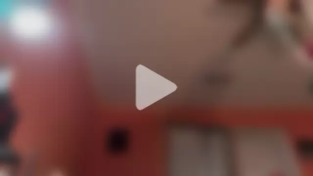 BearChubby300 photo 1