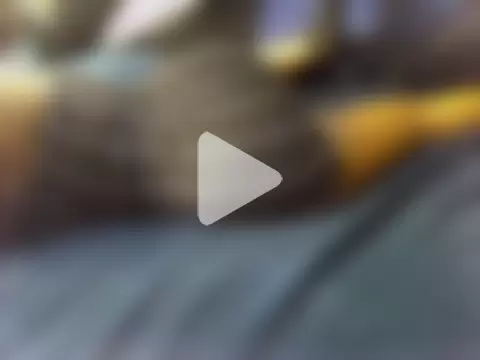 Bed_cinnamon photo 20