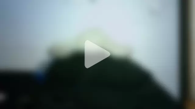 Bellabeltrann photo 15