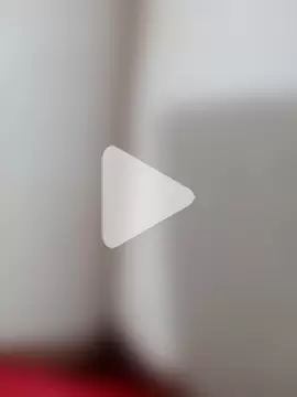 Bellacouple-24 photo 19