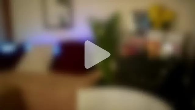 Bellis_Perenis photo 12