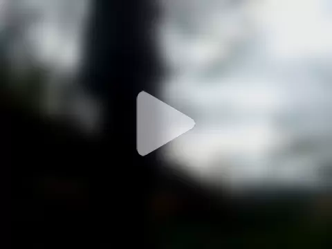 BigHenrySNC photo 20