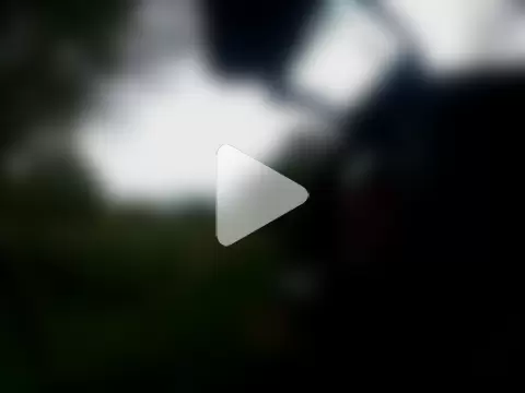 BigHenrySNC photo 18