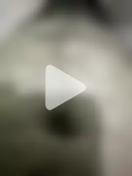 Big_dick_dog photo 5