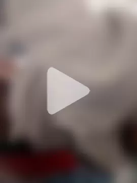 Bigote_Big0357 photo 25