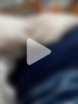 Bikefighter1 photo 18