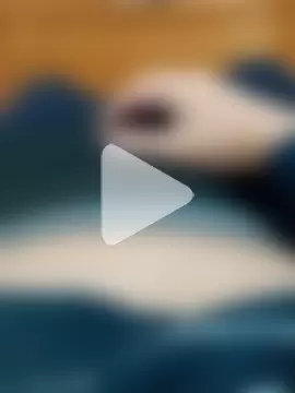 Bikefighter1 photo 17