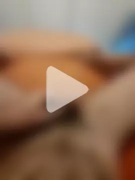 Binggo2 photo 15