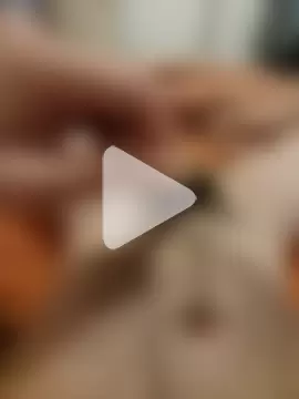 Binggo2 photo 5