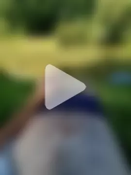 Binggo2 photo 9