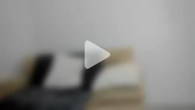 Biscuit_oliva photo 17