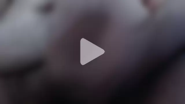 Bitevelu photo 4