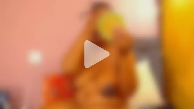 Black-Desire photo 18