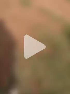 Black-mamba-madingo photo 3