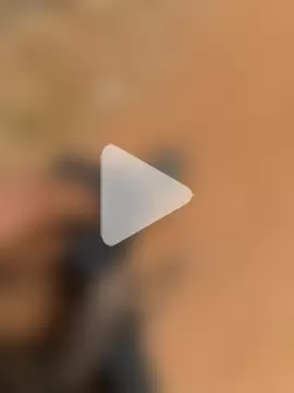 Black-mamba-madingo photo 1