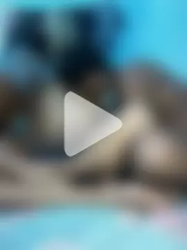 BlackCobraOwner photo 6