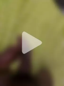 BlackCurvyDickk photo 10