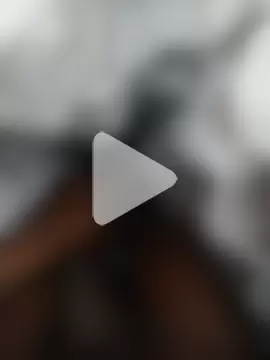 BlackMamba_Cock photo 5