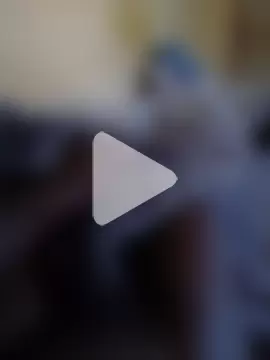 BlackMamba_Cock photo 4