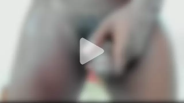 Black_Master19cm photo 14