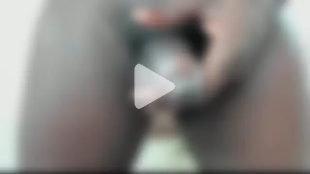 Black_Master19cm photo 2