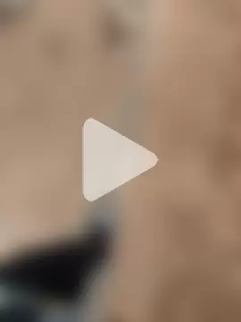 Black_mamba_madingo photo 3