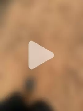 Black_mamba_madingo photo 1