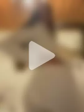 Black_sweet_Rose photo 12