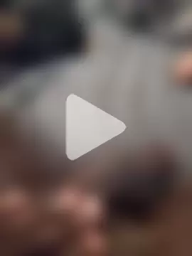 Blackveins32 photo 20