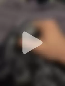 BlahNextDoor photo 15